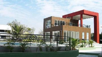 Ongoing Projects