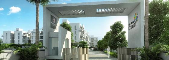 Ongoing Projects