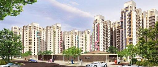 Anant Raj Madelia, Gurgaon - Home & Apartment