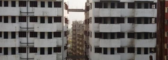 Ongoing Projects
