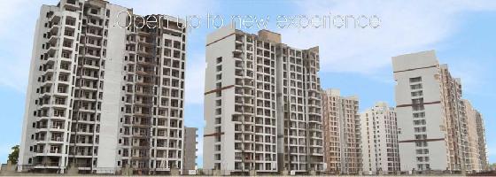 Ongoing Projects