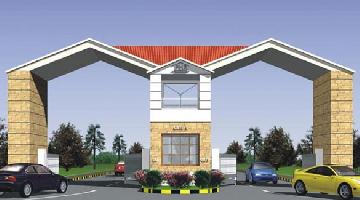 Ongoing Projects