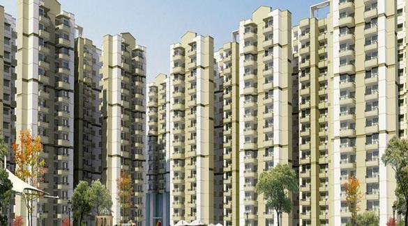 Stellar MI Citi Homes, Greater Noida - Residential Apartments