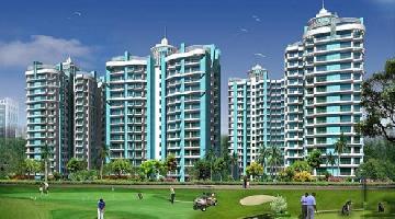 Aims Golf Avenue 2