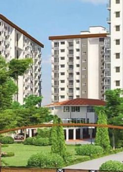 Alta, Alwarpet, Chennai