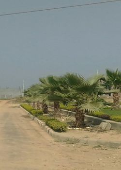 Ubber Golden Palm City, Dera Bassi