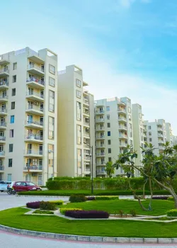 Sushma joynest, Sector 44C Chandigarh