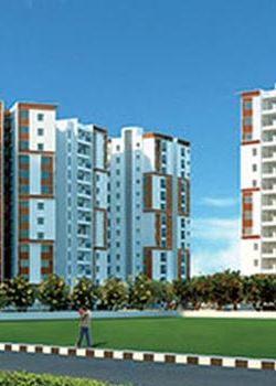 Akshaya Tango, Kalivandapattu, Chennai