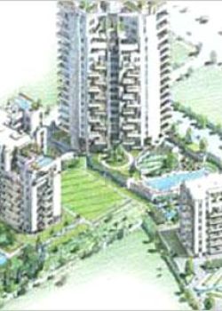 The Ivy, Sushant Lok, Sector 43 Gurgaon
