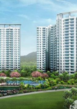 Megapolis,