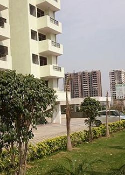 Himalaya Tanishq, Shakti Nagar, Delhi