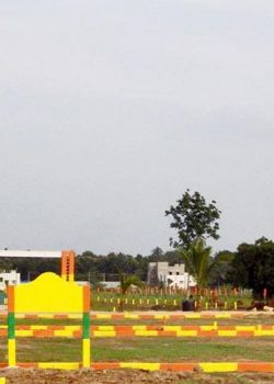 Green Avenue, Ashok Nagar, Chennai