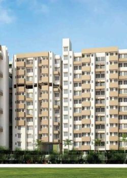 ACE AASTHA, Kalewadi, Pune
