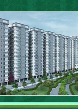 The Roselia, South City, Gurgaon