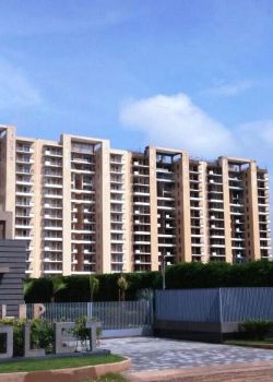 Tulip Violet, Connaught Place, Delhi