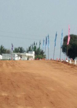 Green Rich Field, Adikmet, Hyderabad