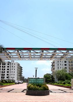 Opera Garden,