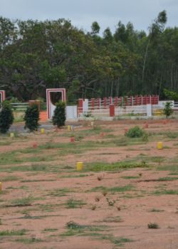 Sizzle Gold Coast, Bylahalli, Bangalore