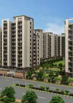 Tulip Orange, Connaught Place, Delhi