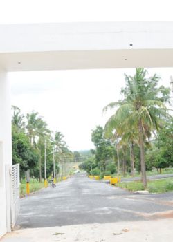 Nanda Prakruthi, Haragadde, Bangalore