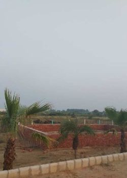 The Grand City, Sector 4 Noida