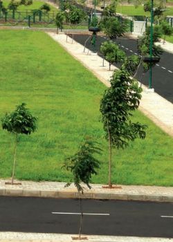 Silicon County, Adikmet, Hyderabad