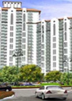 New Town Heights,