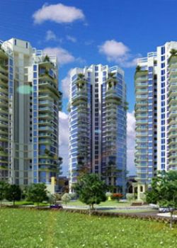 Pioneer Araya, Sector 53 Gurgaon