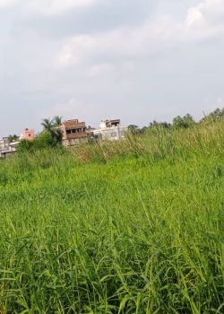 ANANYA, Thakurpukur, Kolkata