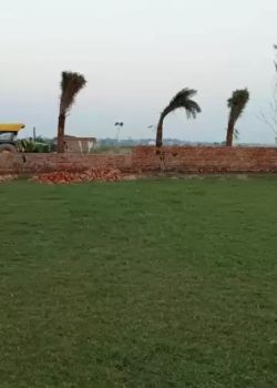 The Lake City Plots, Sector 132 Noida