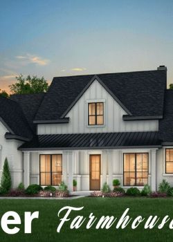 Aster Farms, Sector 4 Noida