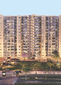 Sahu city, Hazratganj, Lucknow