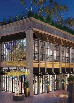 Galleries, Sector 15 Gurgaon