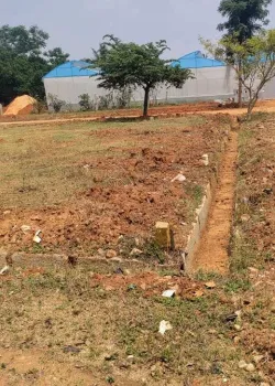 Green Homes, Sector 13 Kharghar, Navi Mumbai