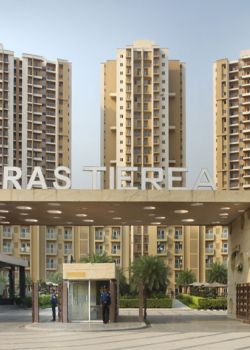 Paras Tierea,