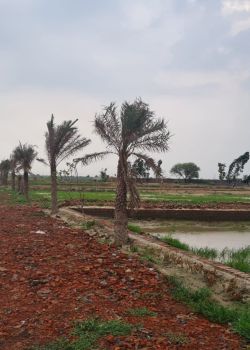 The Capital City, Sector 16 Noida