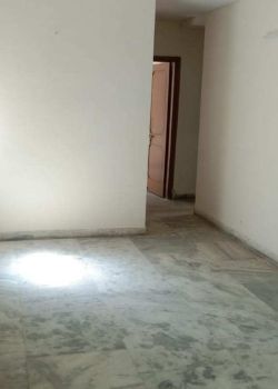 Gulistan Apartment, Roza Jalalpur Greater Noida