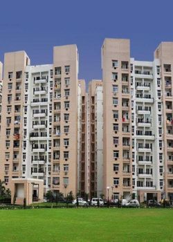 Rohtas Plumeria, Gomti Nagar, Lucknow