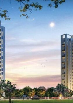 Vatika Plots, Sector 49 Gurgaon