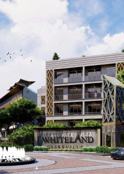 Whiteland Blissville, Sector 65 Gurgaon