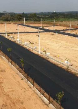 Hombale Woods, Bangalore-Mysore Road, Mandya