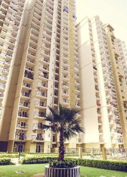 Trident Embassy, Sector 63 Noida