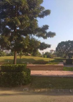 Emaar Mgf, Sector 105 Mohali
