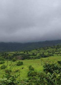 Paal Hills, Sector 13 Kharghar, Navi Mumbai