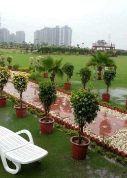 Sportsland Activity Farms, Kirti Nagar, Delhi
