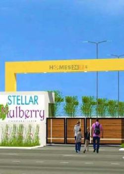 Stellar Mulberry, Bylahalli, Bangalore