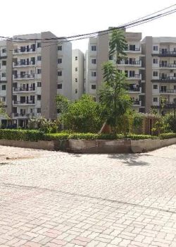 Coral Wood, MP Nagar, Bhopal