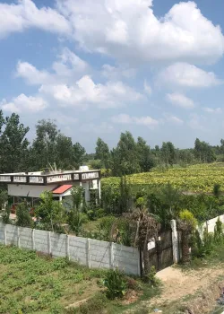 Agriculture Park, Lakri Fazalpur, Moradabad