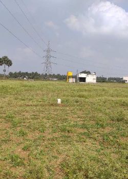 Sirpi Garden, R S Puram, Coimbatore