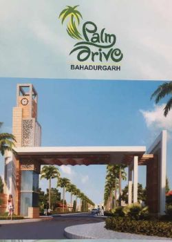Palm Drive, Sector 13 Kharghar, Navi Mumbai